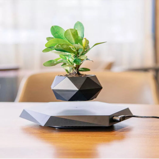 Modern Magnetic Levitating Air Bonsai Pot